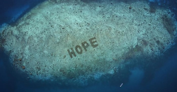 Hope Reef is part of a new project for the regrowth of coral reefs and recently won several awards at the Cannes Lions 2022. Pet food started by Sheba.