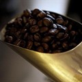 Uganda coffee exports plunge 29% in August on impact of drought