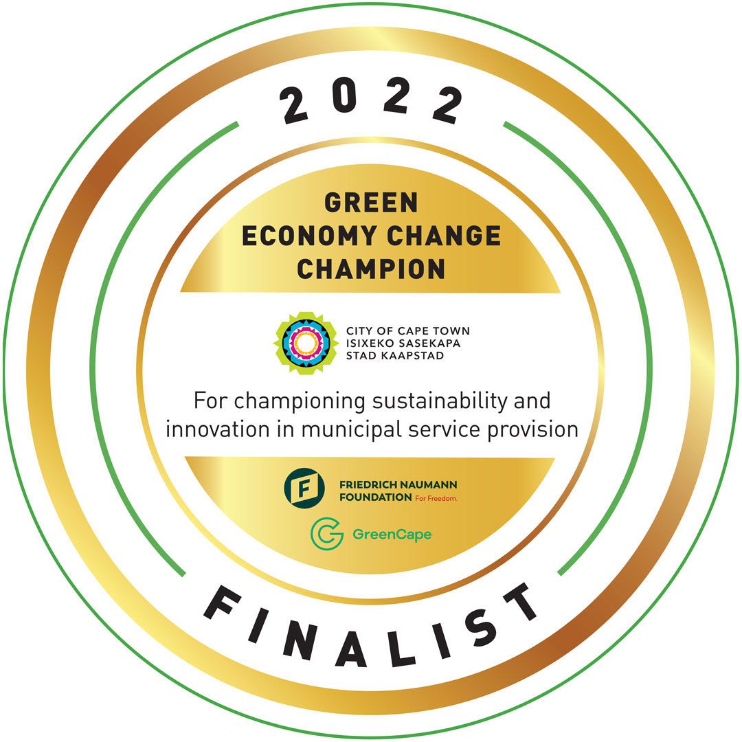 Celebrating municipal green economy change champions