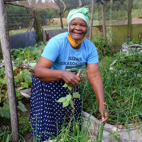 Norha Ngcobo in one of her vegetable gardens. Photo: Guy Stubbs