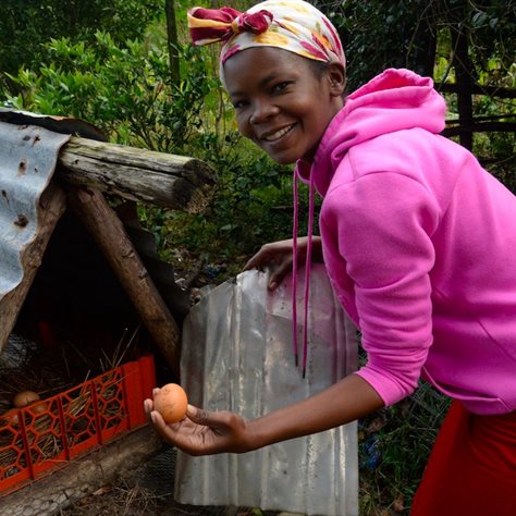 Nonkululeko Biyela harvesting eggs from her chicken hok. Photo: Guy Stubbs