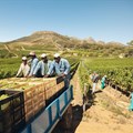E-learning platform for vineyard workers launched
