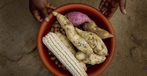 Innovating in agriculture is central to addressing food security and achieving affordable nutrition