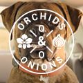 #OrchidsandOnions: An ode to 60 years