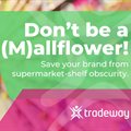 Don't be a (m)all flower | The Great Retail Revival and why mall activations have never been more relevant