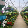 Redefine launches rooftop HandPicked CityFarm at Kenilworth Centre