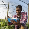 Using tech and innovation to ignite widespread agricultural transformation