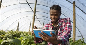 Using tech and innovation to ignite widespread agricultural transformation