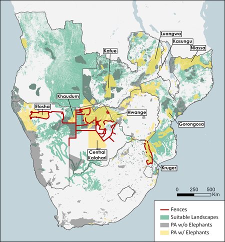 UP-US study maps roaming habits of elephants in Southern Africa to boost conservation efforts