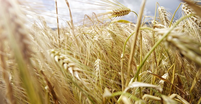 Agribusiness confidence drops below neutral 50-point mark in Q4