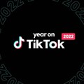 Here are the SA TikTok trends for 2022