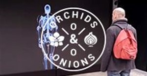#OrchidsandOnions: The real price of shock value