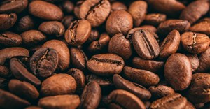 Uganda coffee exports drop 15%, hurt by drought