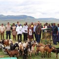 Joint indigenous veld goat project launched
