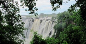 Zambia receives 'debt-for-nature' proposal from WWF for restructuring