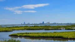 First study to estimate 'blue carbon' storage in South Africa is useful for climate strategy
