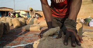 Ivory Coast to boost cocoa grinding capacity with new plants
