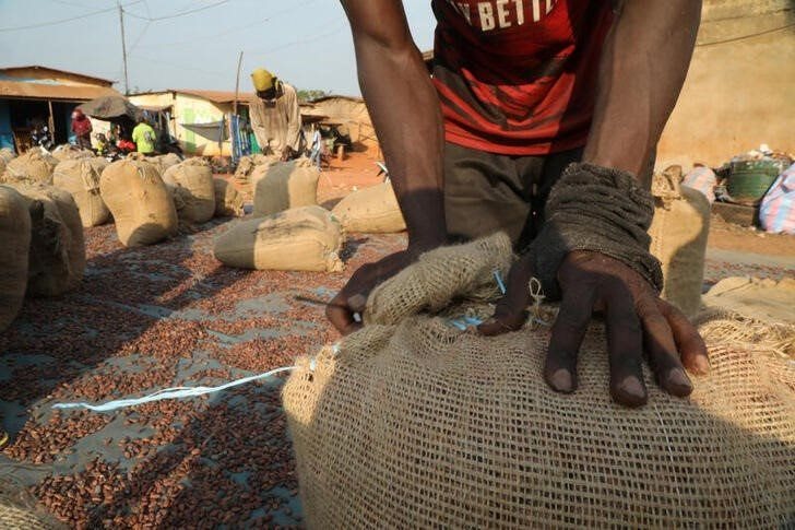 Workers sew up sacks of cocoa next to a warehouse in Soubre, Ivory Coast January 8, 2021. REUTERS/Luc Gnago