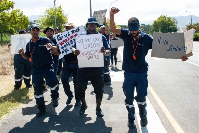 Some Distell workers in Stellenbosch picketed on Monday demanding that the company recognise their union Solidarity. Distell says membership numbers are too low for recognition. Photo: Liezl Human via GroundUp