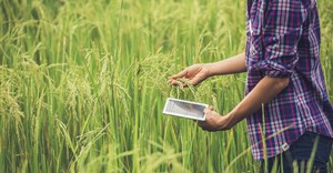 Saai launches AI platform for farmers