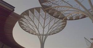 Solar trees continue to light the way for a sustainable future