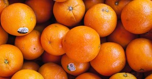 SA citrus calls on presidential support in EU orange export battle
