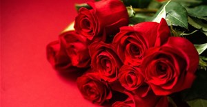 SA florists, jewellers and gift shops rake in Valentine's spend