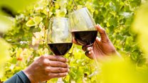 February - the month-long birthday celebration for South African wine
