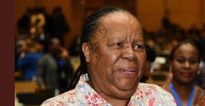 Source: Supplied. Naledi Pandor, Minister of International Relations and Cooperation delivered her keynote address at the opening of the 14th International Congress of Human Genetics at the CTICC this week.