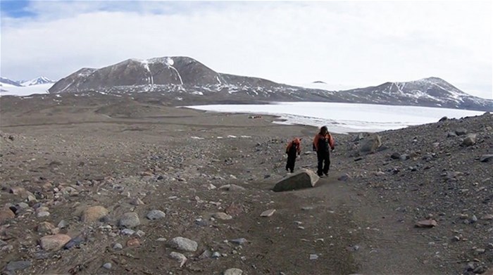 UP microbiologists discover rich diversity of life in Antarctica's cold, dry soils