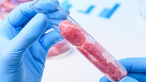 How cultivated meat technology will affect farmers, veterinary professionals