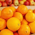 Citrus industry survival top of mind at CGA Summit