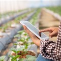 Why agri tech is important in farming today
