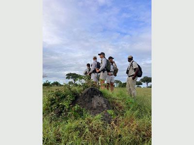 EcoTraining and Londolozi focus on guides' walking skills development