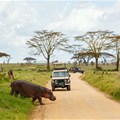 Africa Travel Week trends report reveals tourism drivers for 2023