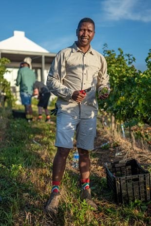 #Newsmaker: Former farm worker rises to executive role at Zoetendal Vineyards and River Estate