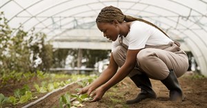 Transforming African agriculture: Investing in solutions to maximise farm-level productivity