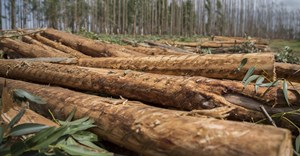 How harvested wood products can create climate-friendly solutions