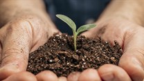 #FarmingfortheFuture: RegenAg SA - Advancing regenerative agriculture for soil, human and planet health