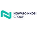 Invitation to submit applications to participate in the NNG Enterprise & Supplier Development Programme