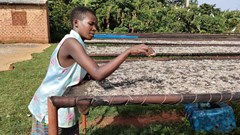 New mobile app offers real-time fisheries data for Ugandan stakeholders