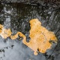 Nigeria needs $12bn to clean up Bayelsa oil spills - report