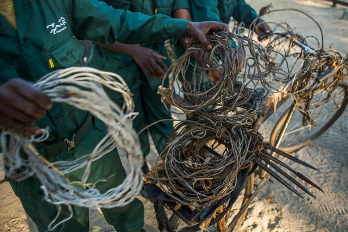 Anti-poaching scouts handle confiscated spears, bicycles, and snares, used by poachers at Kafue National Park, Zambia in this undated handout image. Courtesy of Sebastian Kennerknecht/Handout via Reuters