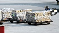 Global air cargo demand declines in April, reports Iata