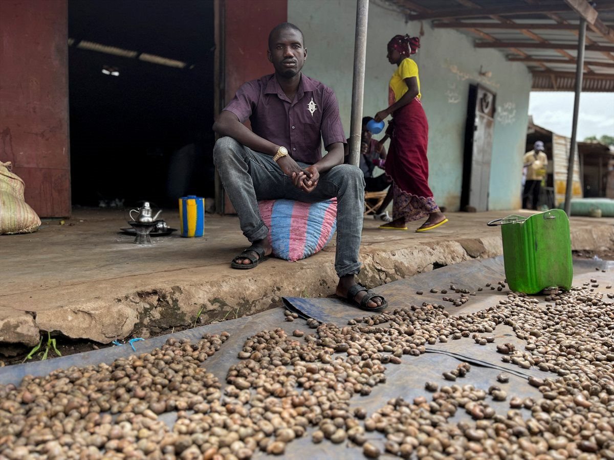Drissa Dembele, a farmer and buyer of raw cashew, checks unshelled nuts that were spreaded out to dry, in his courtyard in Katiola, Ivory Coast, May 27, 2023. REUTERS/Ange Aboa