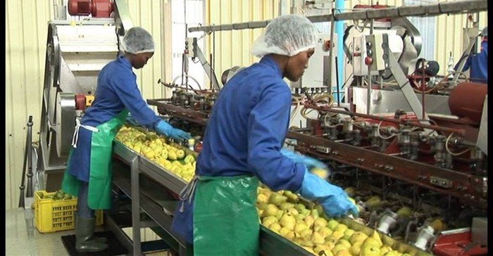Source © IOL  Once again Tiger Brands will extend operations at its deciduous fruit business Langeberg & Ashton Foods (L&AF) for a further season