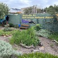 The Nature Park on the corner of Fenton Road and Pope Street in Salt River was the first garden started by Neighbourhood Gardens. Photos: Matthew Hirsch / GroundUp