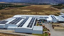 Large-scale solar installation keeps Bella Frutta going