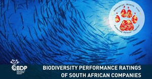 Just over one-third of SA business acknowledges biodiversity impact