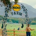 Grey Advertising Africa and KOO collaborate on Mzansi's top baked bean